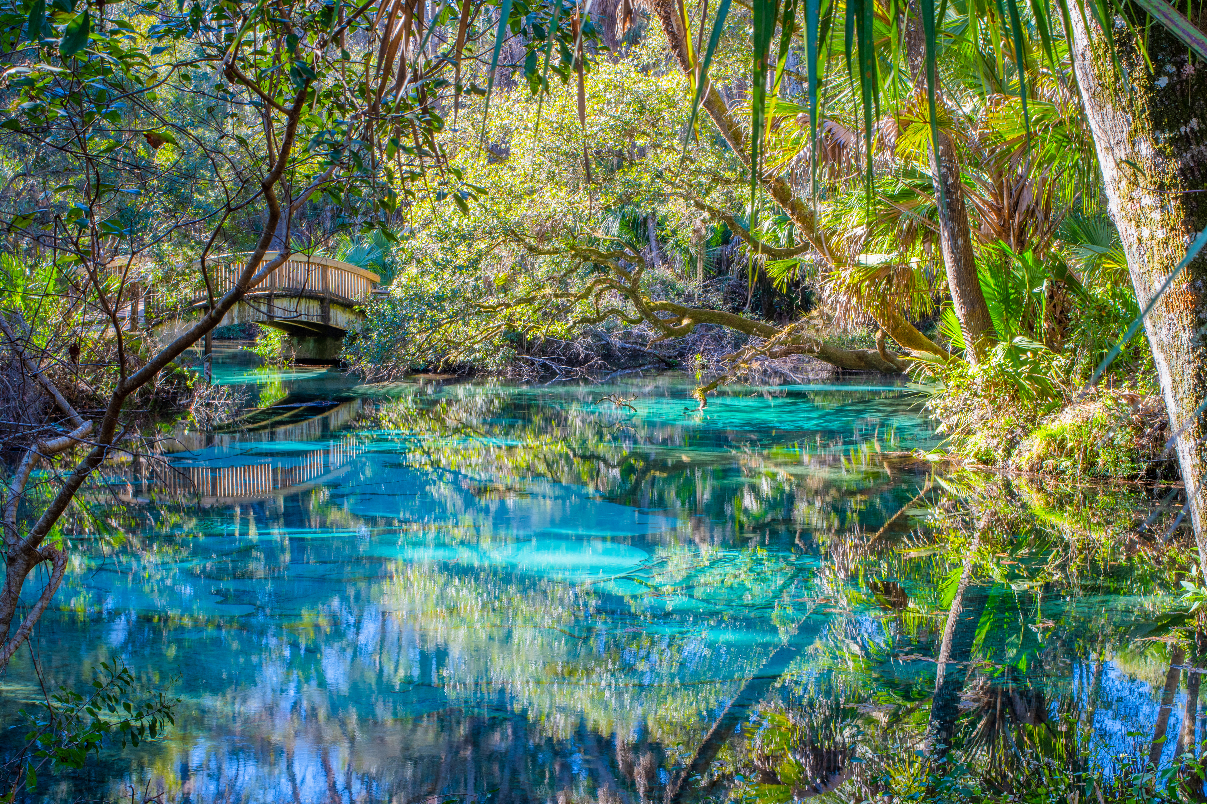 Juniper Springs in Ocala National Forest